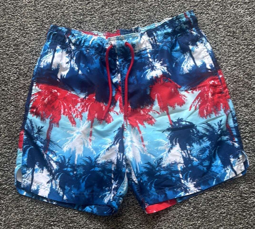 Men's Americana/4th of July Swimsuit- S