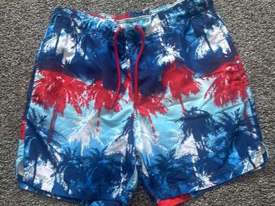 Men's Americana/4th of July Swimsuit- S