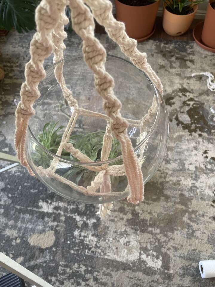 Macrame and globe plant hanging planters