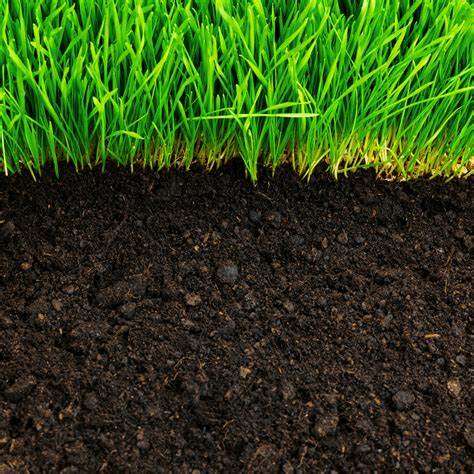 Best Top Soil / Fill dirt / Compost for new sod