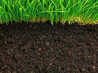 Best Top Soil / Fill dirt / Compost for new sod