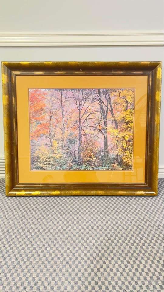 32”x39” Picture Frame