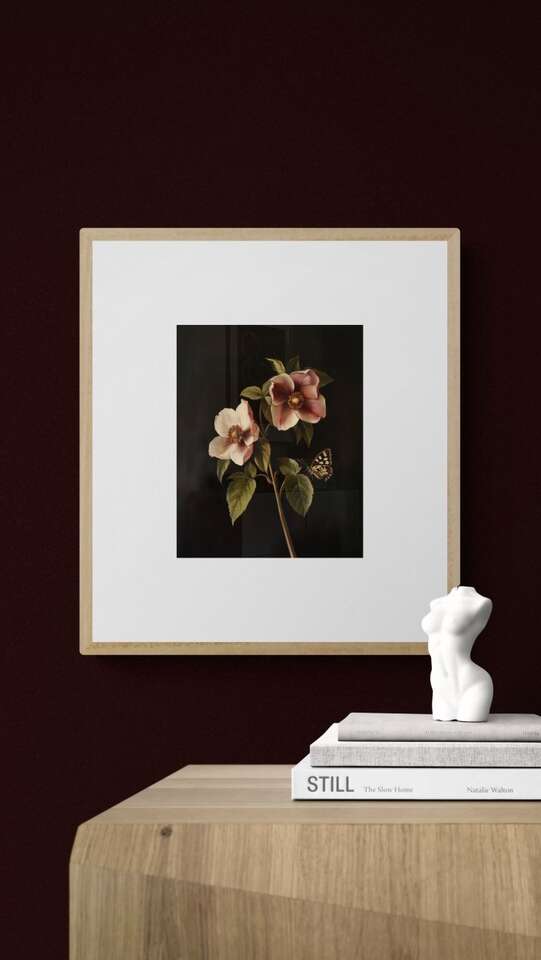 "Hellebores" Fine Art Print