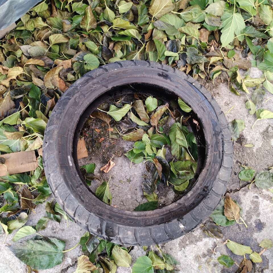 michellin anakes adventure 170 60 r17