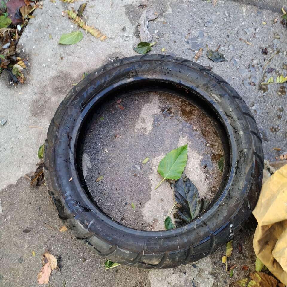 trail rider Avon av54 150 70 r18