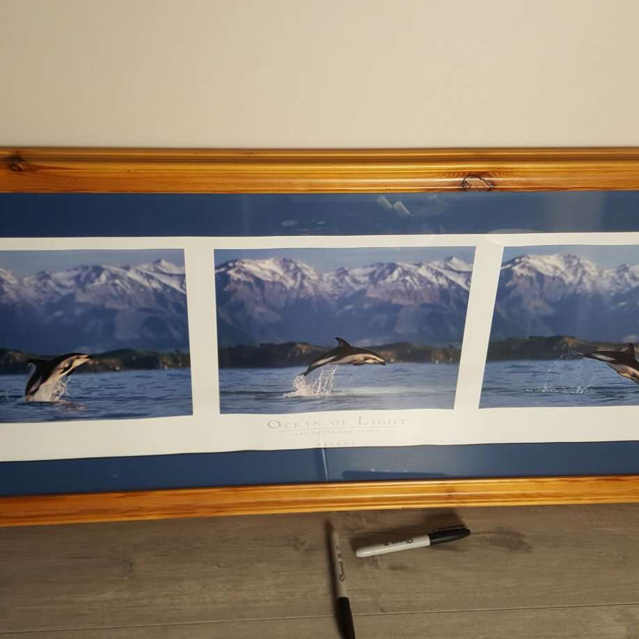 Long wooden picture frame with dolphins