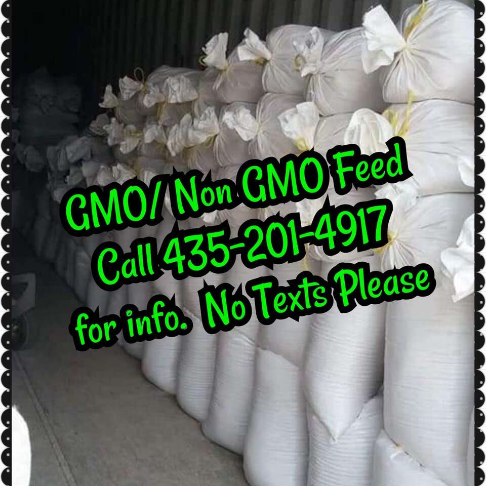 Custom Made Animal Feed