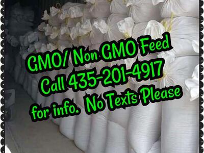 Custom Made Animal Feed