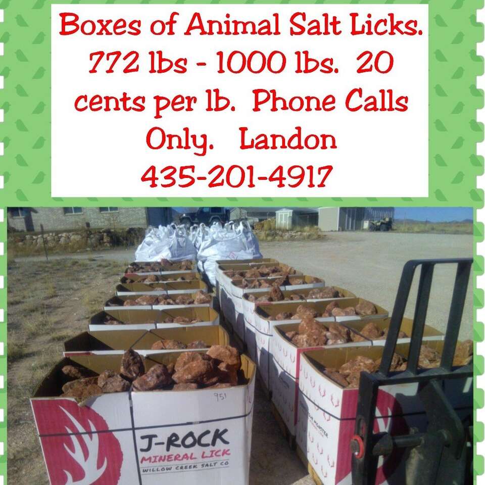 Animal Salt Licks