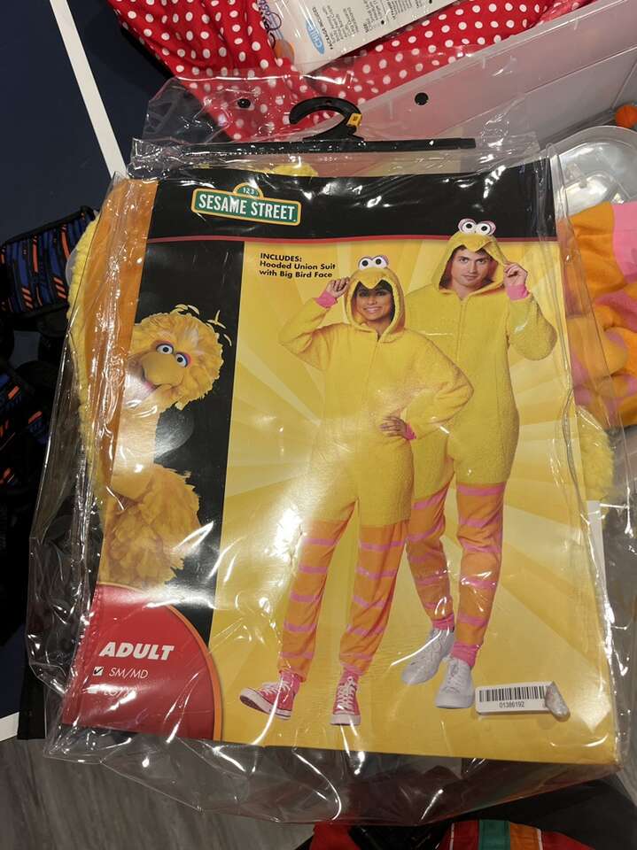 Big BirD Adult Small/Medium