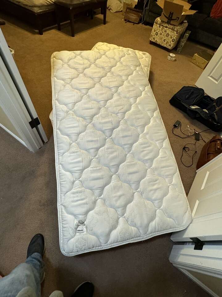 FREE Twin Size Mattresses (Two) FREE