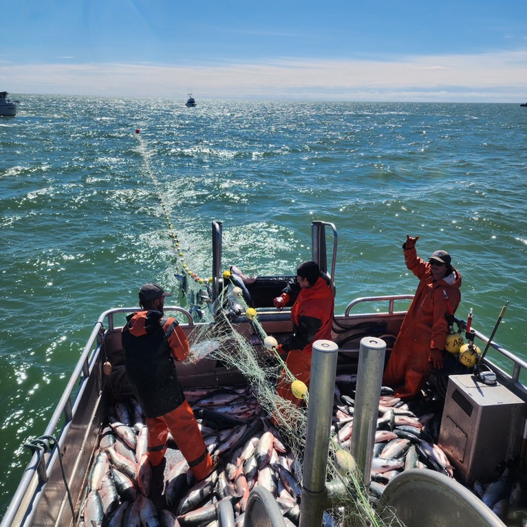 F/V Arctic Wind