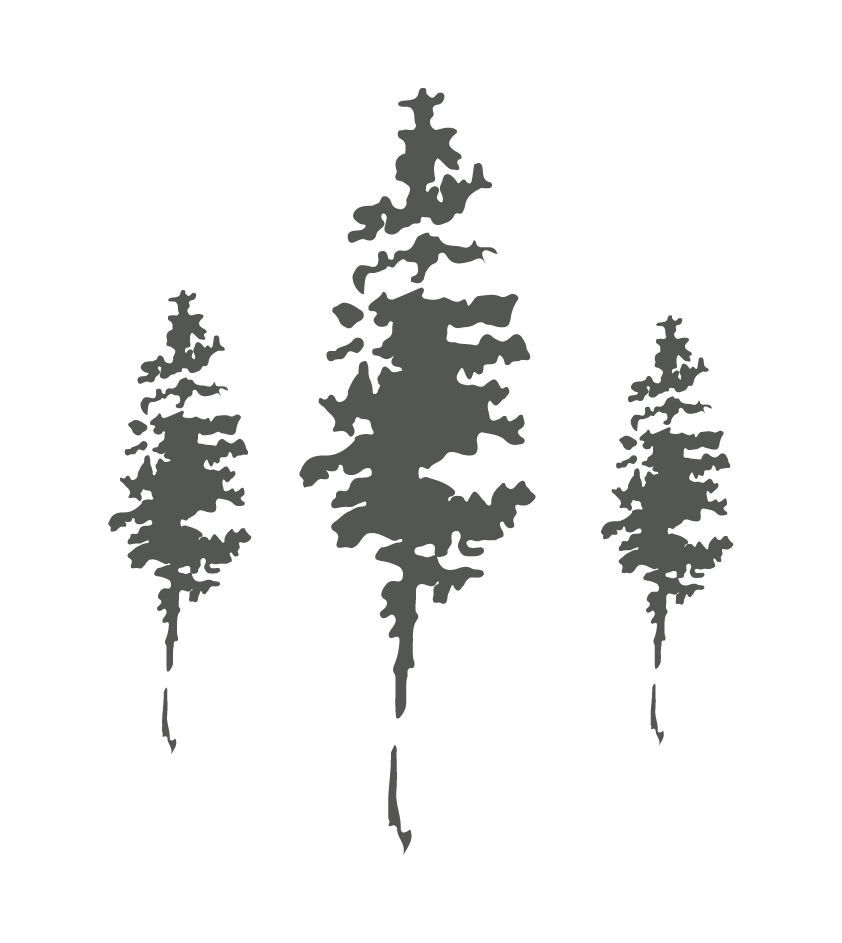 White Pine Builders
