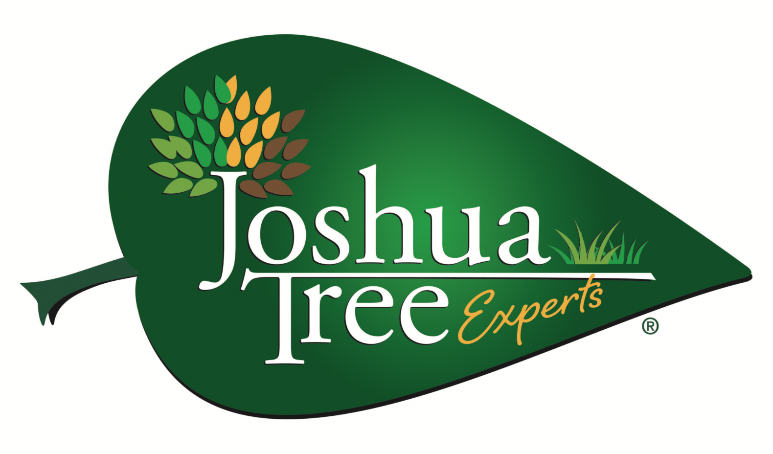 Joshua Tree Experts