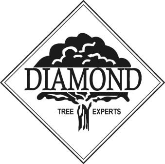 Diamond Tree Experts
