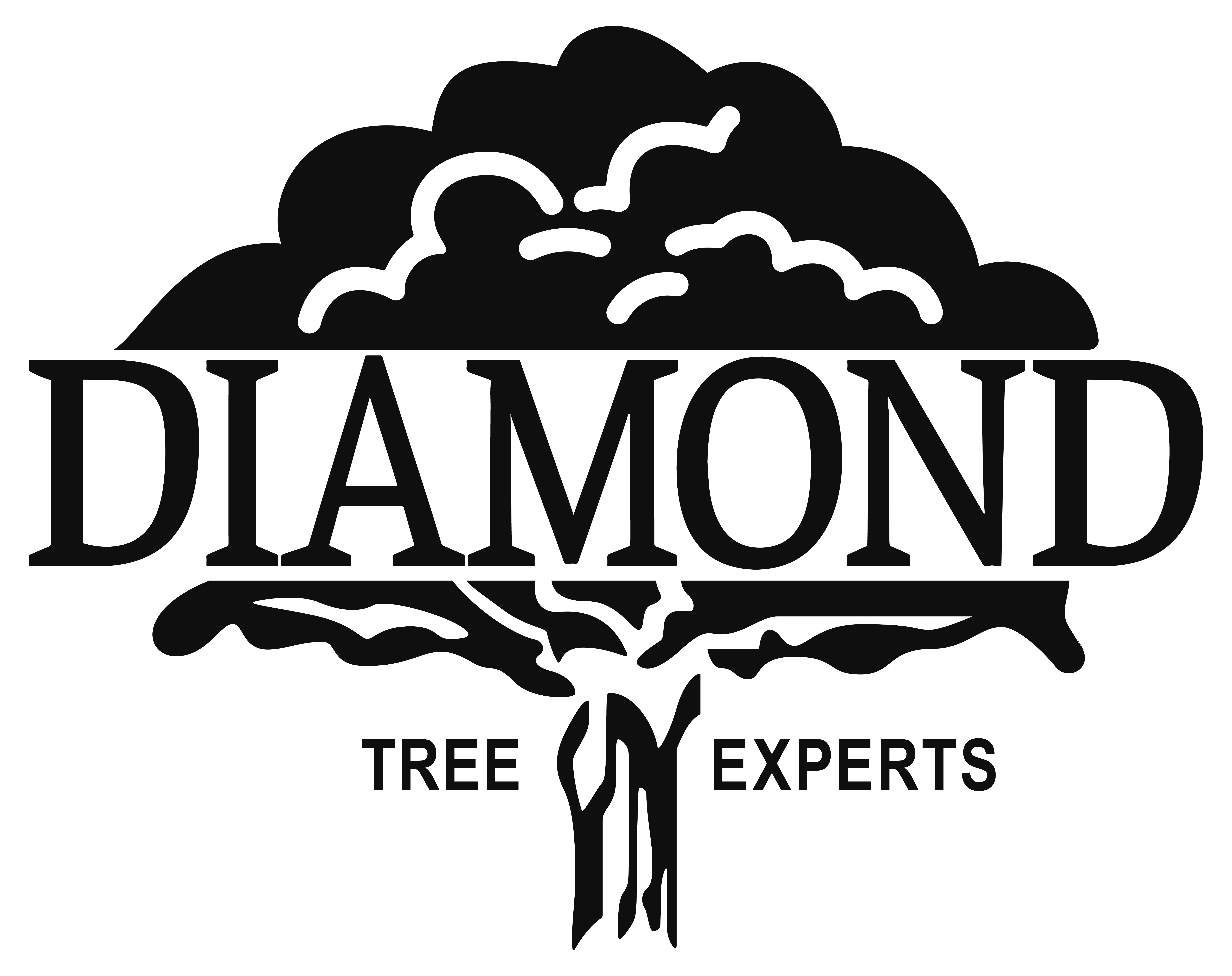 Diamond Tree Experts