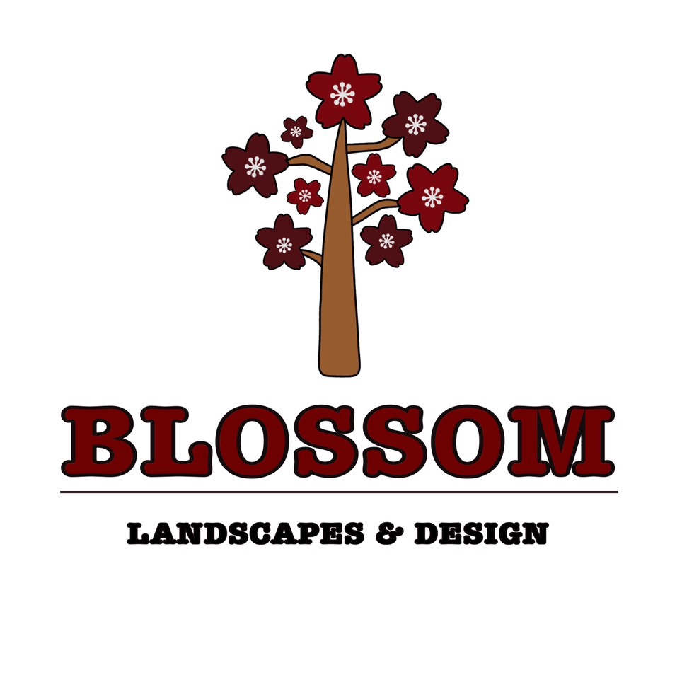 Blossom Landscapes