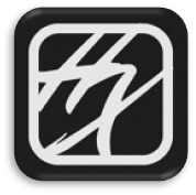 HOLYOAK X LLC.