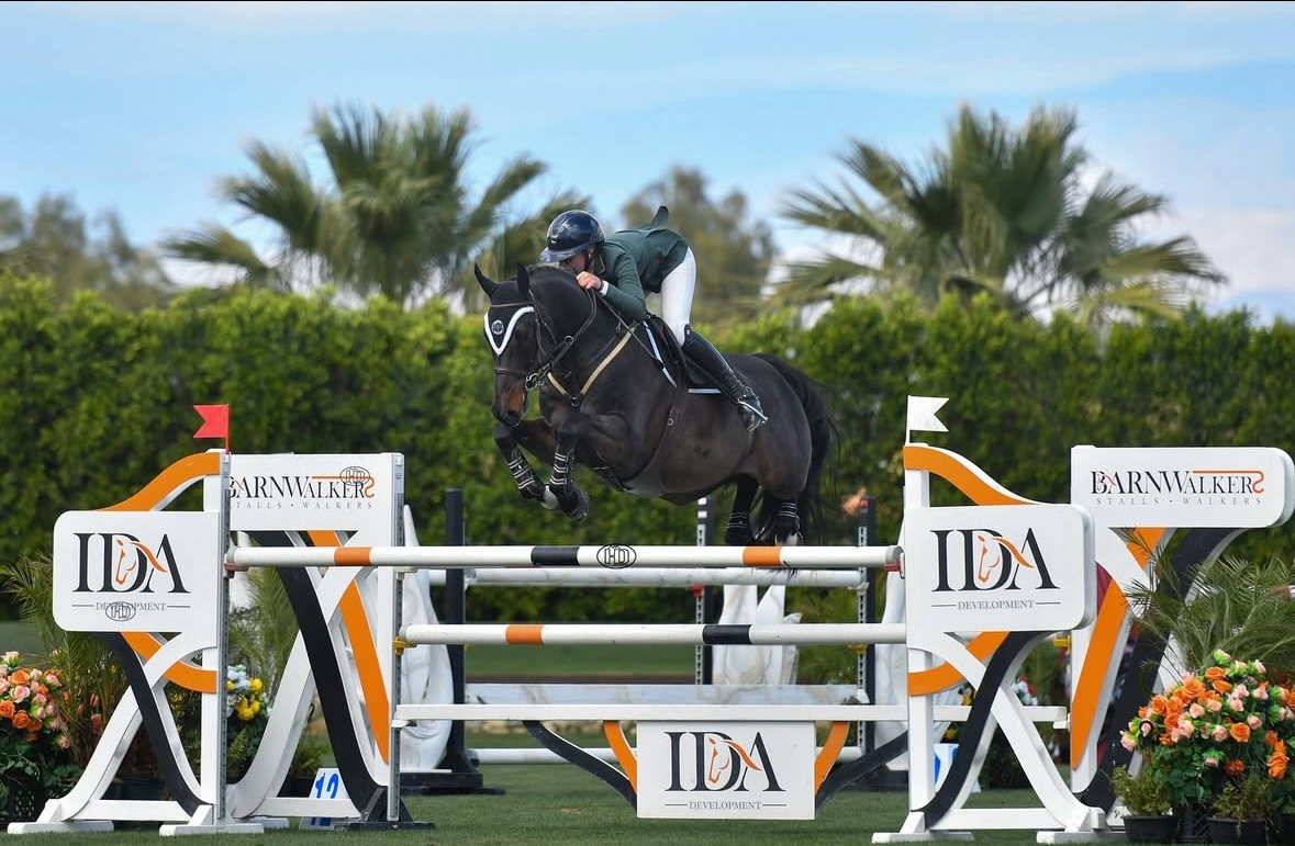 Diamond Equestrian