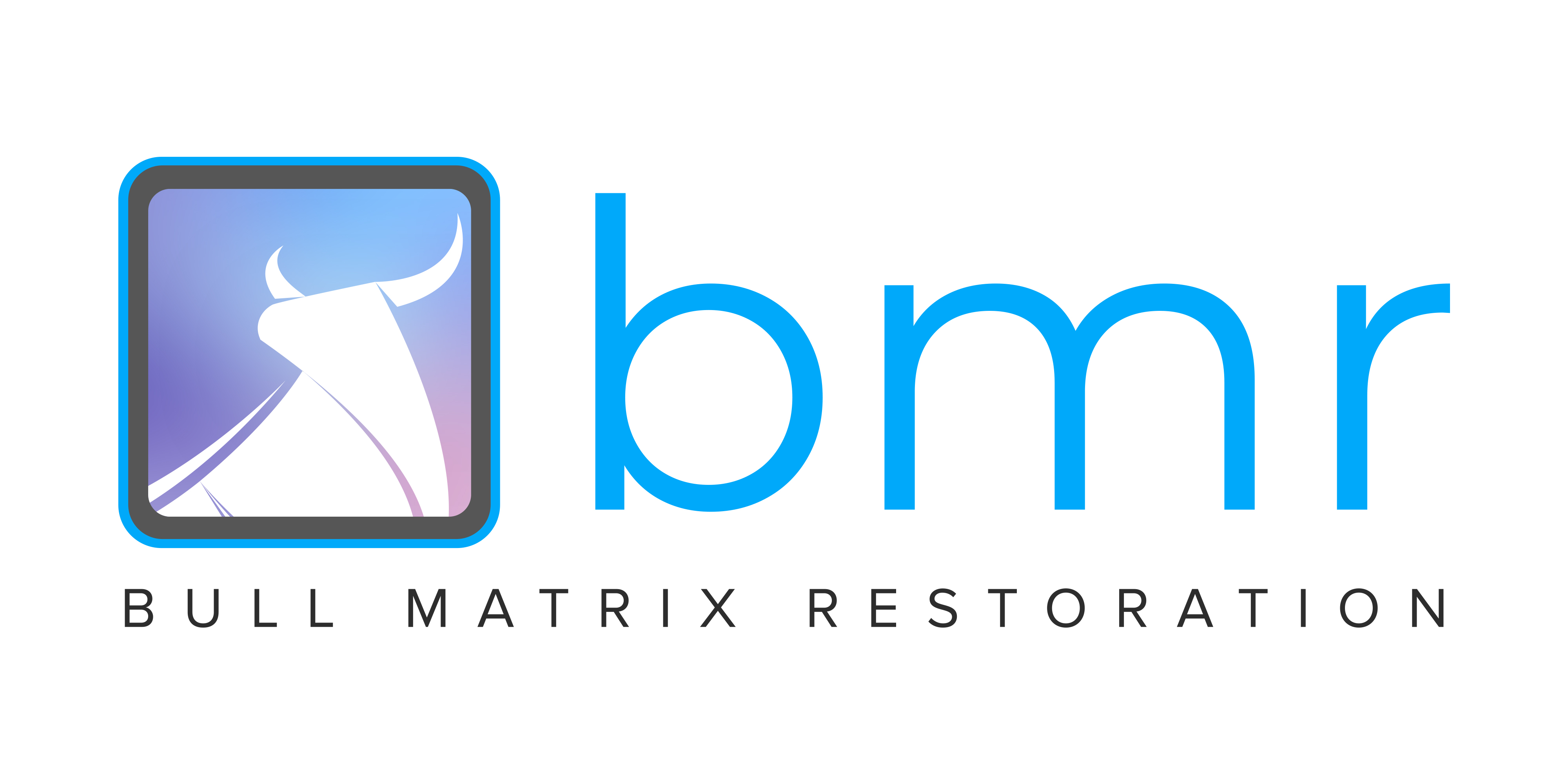 BMR (Bull Matrix Restoration)