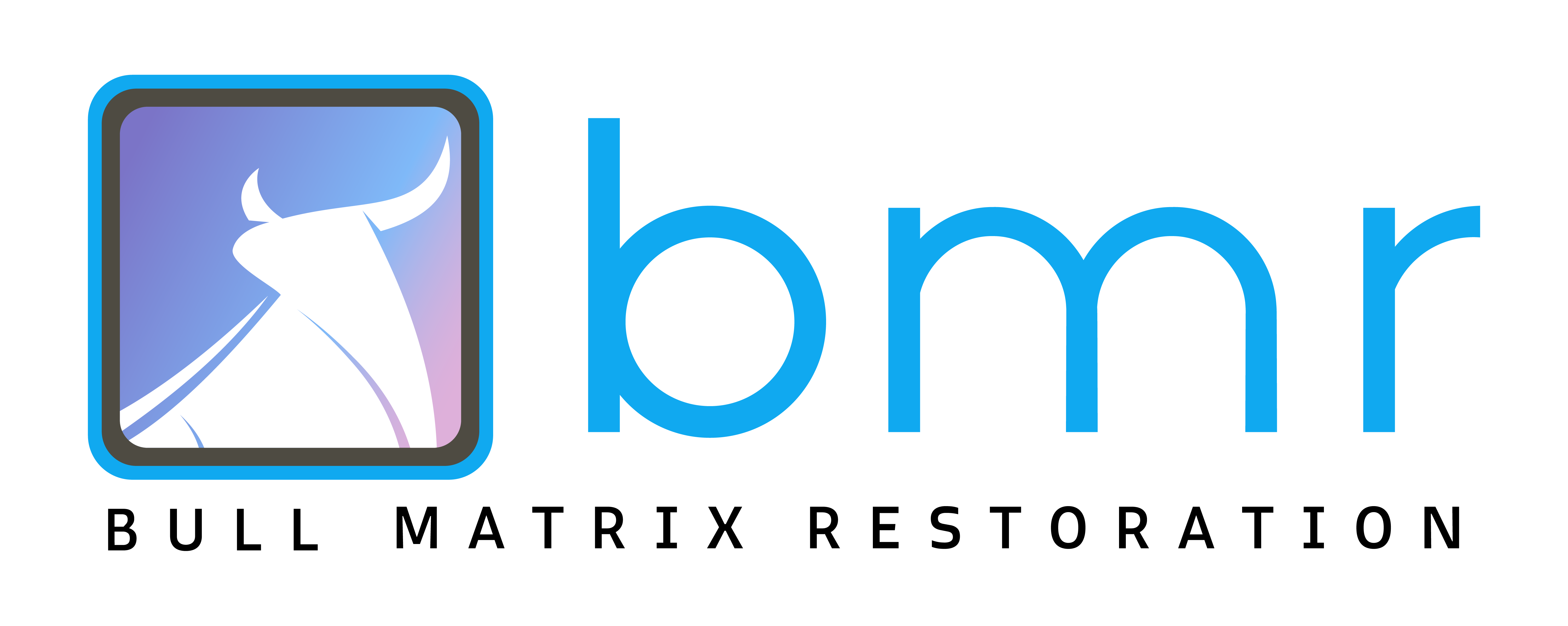 BMR (Bull Matrix Restortaion)