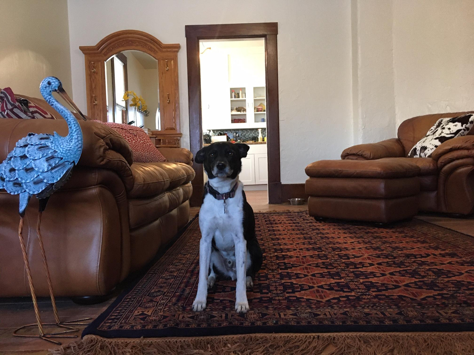 Single Room For Rent at 356 East 300 North, Logan, UT 84321