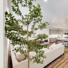 Rental property