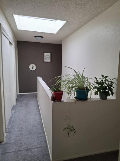 Rental property
