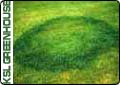 Fungus - Nothing Cute About Fairy Rings 