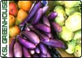 Storing Fresh Garden Vegetables 