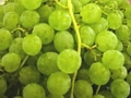 Green Seedless Grapes, by the pound - Rittman Orchards