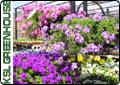Solar Greenhouses for the Home