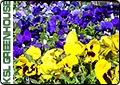 Horticulture Education at Thanksgiving Gardens