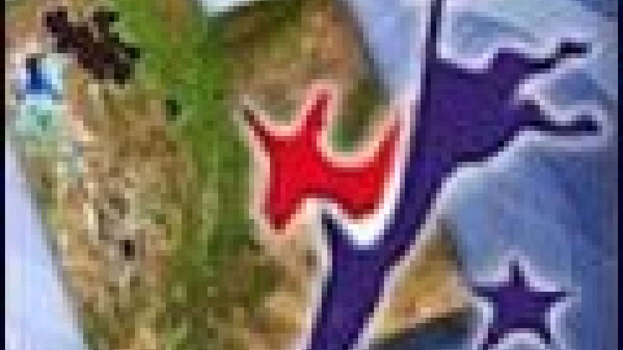 Commissioner Asks Summit County Party Chairman to Quit