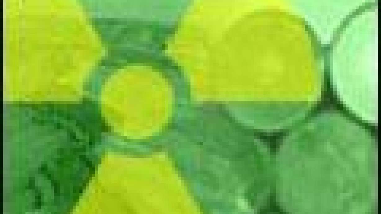 Feds License Nuke-Waste Project in Utah's West Desert