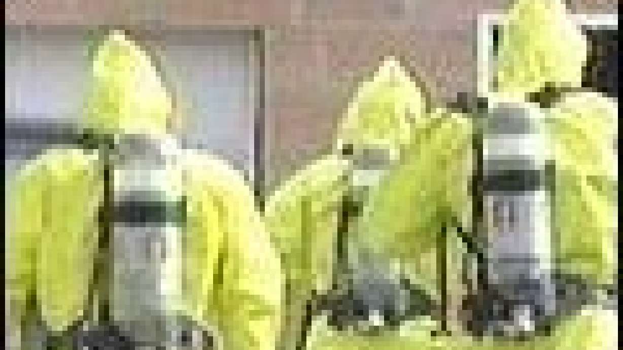 Toxic Waste Cleanups Finally Complete