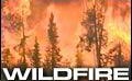 Fire officials urge spring cleanup