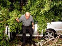 Dr. Alberto Hernandez exits his car after checking it for damage from a tree that Hurricane Katrina blew down overnight on Brickell Avenue near downtown Miami Friday, Aug. 26, 2005.