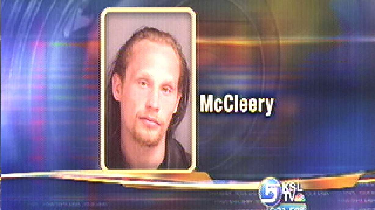 Police Arrest Stabbing Suspect