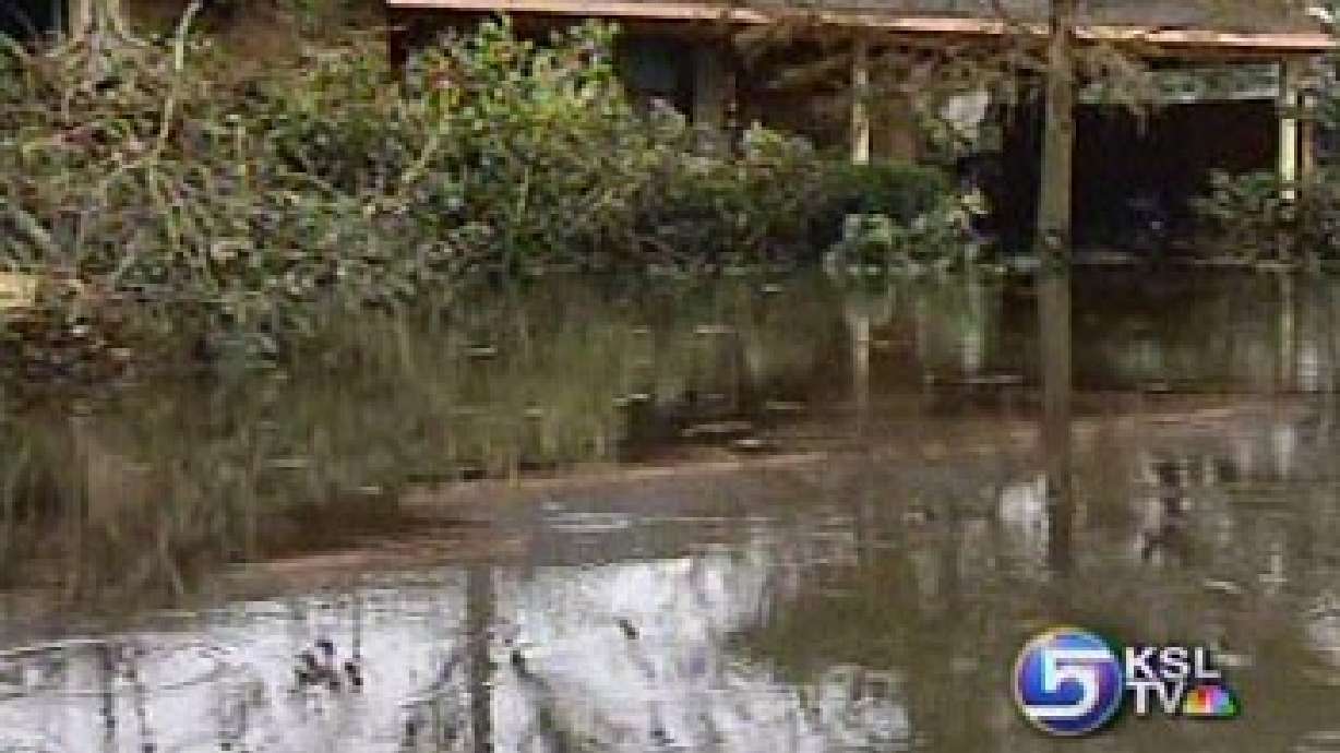 Alex Cabrero and Marc Giauque Report Live from the Hurricane Scene