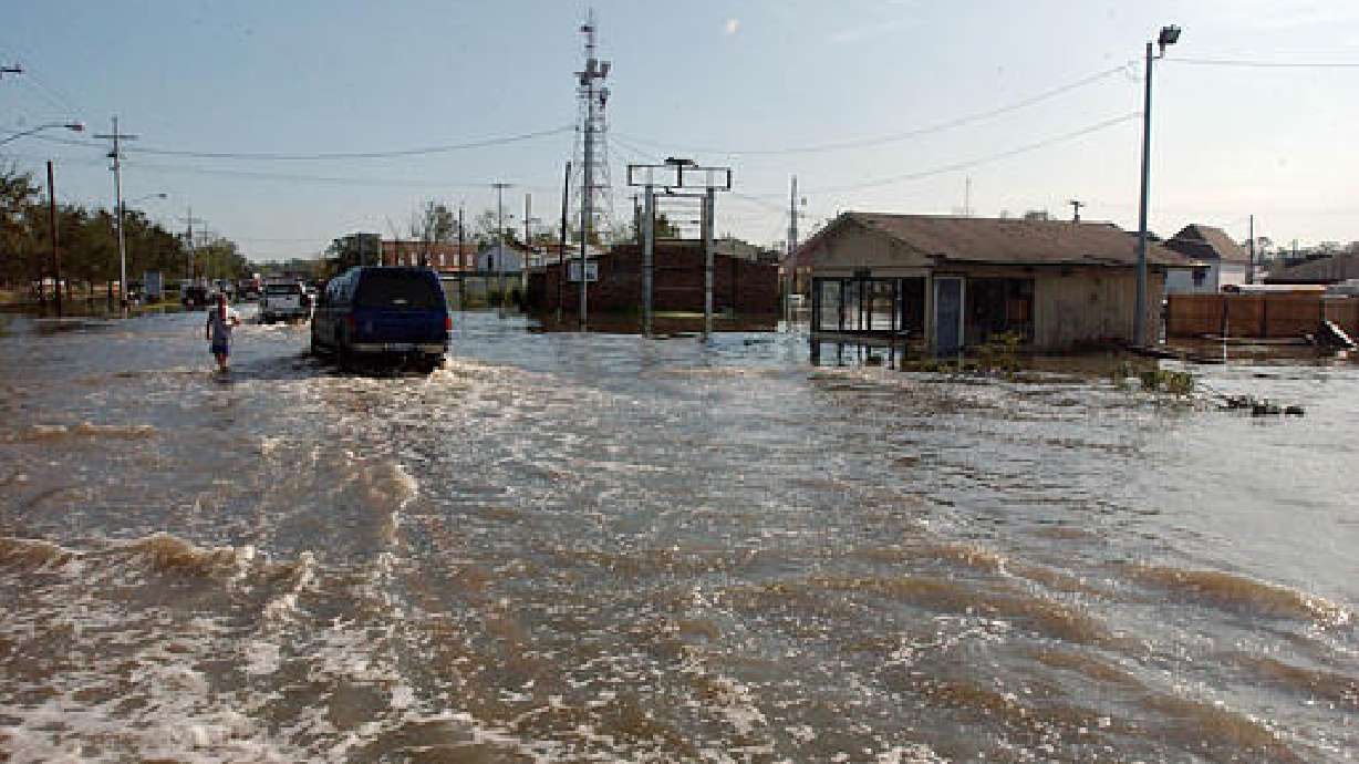New Orleans Becoming Cess Pool of Disease