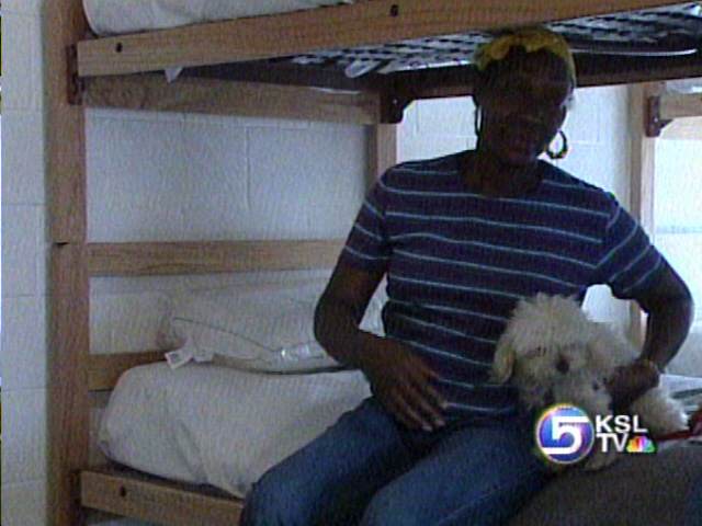 Volunteer Vet Cares For Refugee's Pets