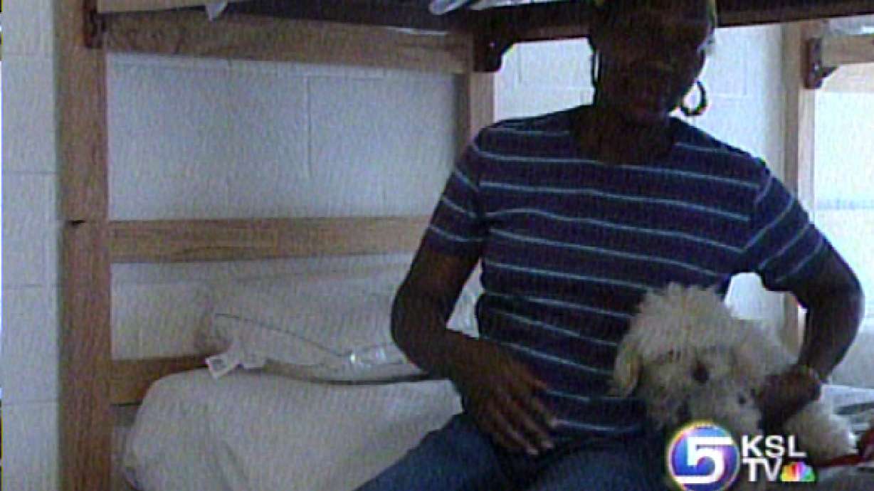 Volunteer Vet Cares For Refugee's Pets