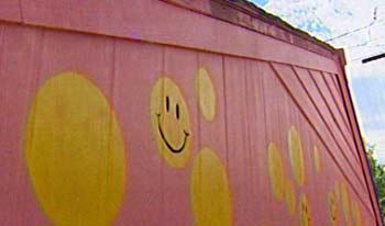 Neighbor Makes Statement Against Huge New House