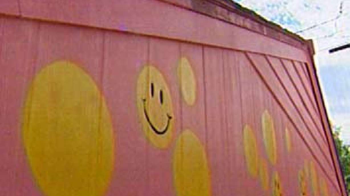 Neighbor Makes Statement Against Huge New House