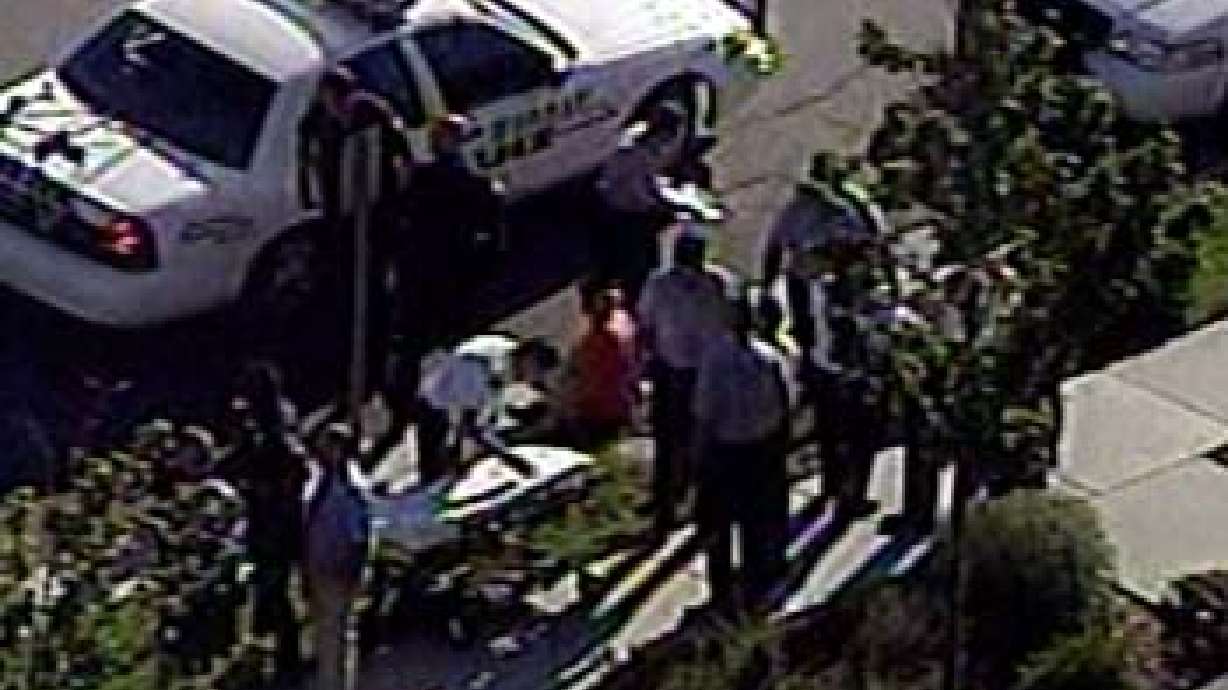 Robber on the Run After Wrong Man Gets Tasered