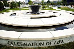 Salt Lake Council To Audit Rocky