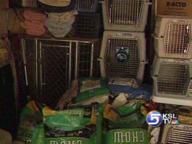Pets Left Homeless by Katrina are Adoptable Here