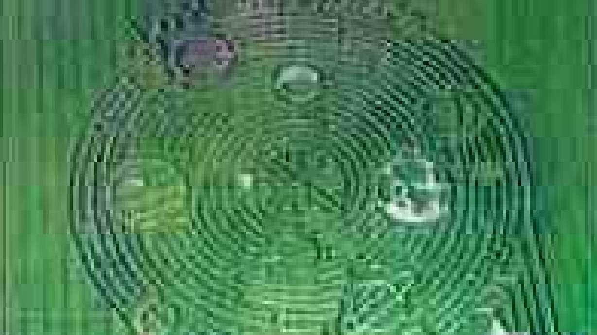 Utah Crew Makes Corn Mazes Around the World