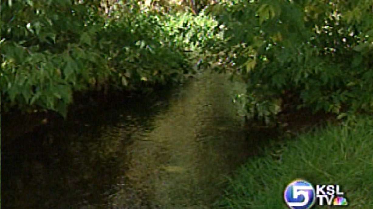 Search on for Source of E. Coli in Creek